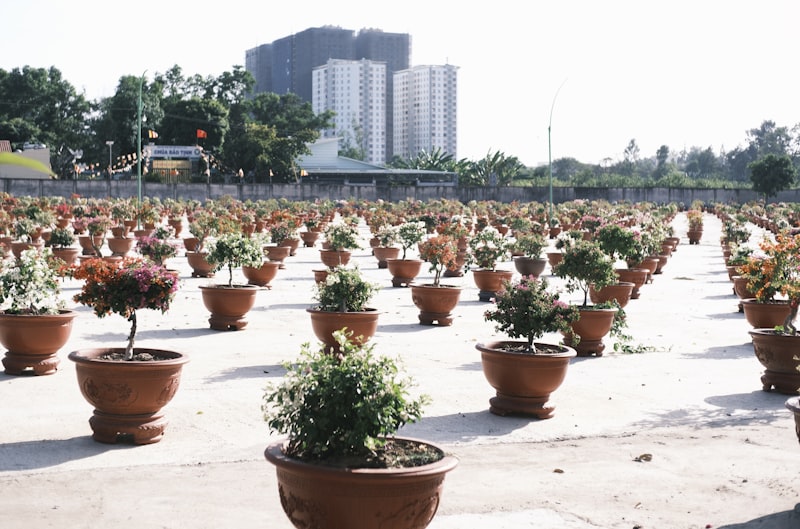 Plant Supply